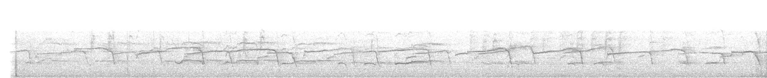 ハクトウワシ - ML638645425