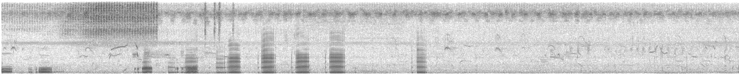 Neotropic Cormorant - ML638646091