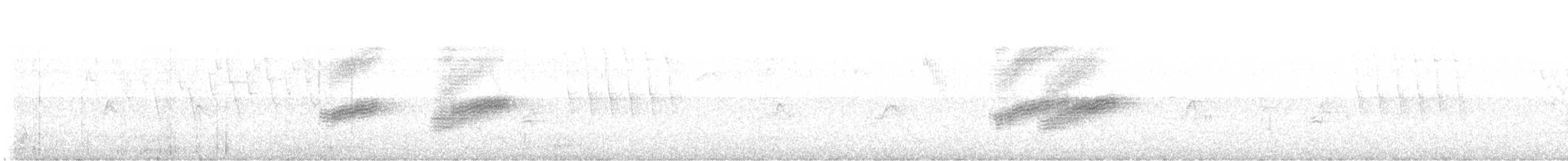 Fleckengrundammer [maculatus-Gruppe] - ML638647596