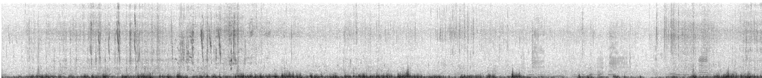 White-chinned Petrel - ML638648578