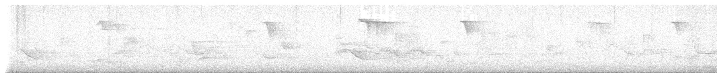 Veery - ML638649823