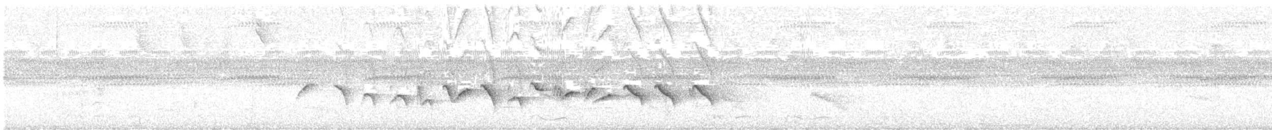 Chestnut-bellied Seed-Finch - ML638649931