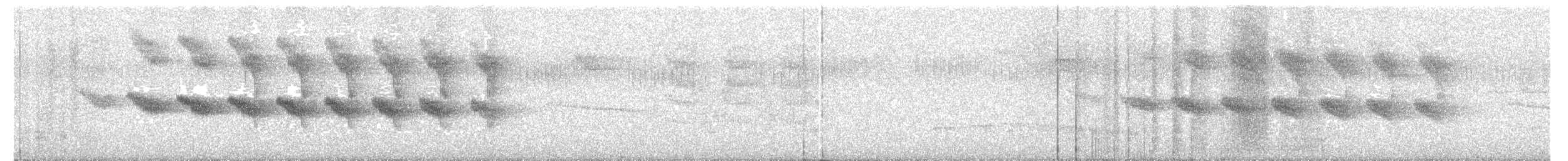 Star-throated Antwren - ML638650292