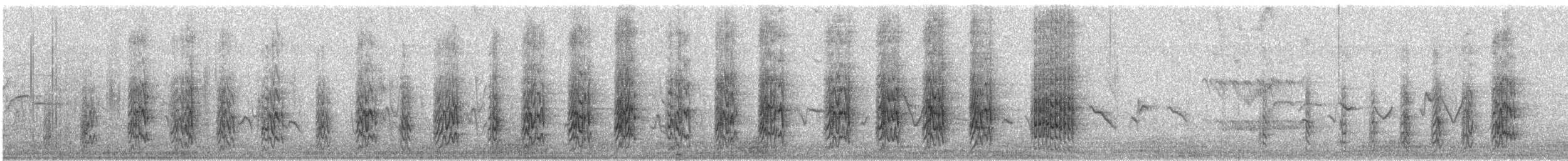 Mönchssittich [monachus-Gruppe] - ML638650928