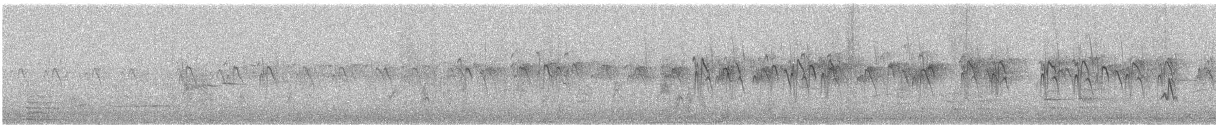 Rauchschwalbe (erythrogaster) - ML638650935