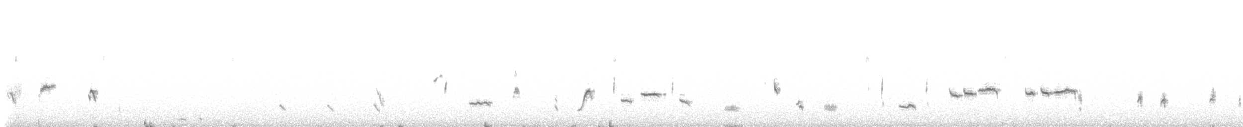 Langschnabel-Spottdrossel - ML638651183