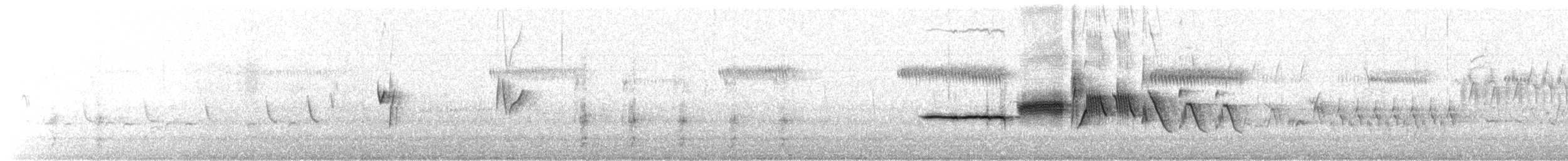 White-crowned Sparrow - ML638654335