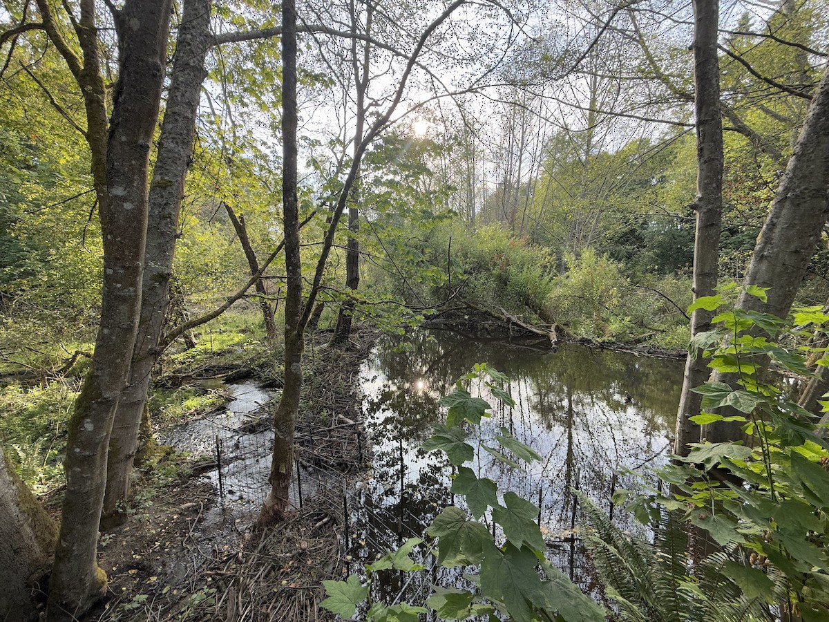 null - ML638655498