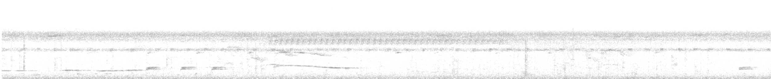 Wing-barred Piprites - ML638655574