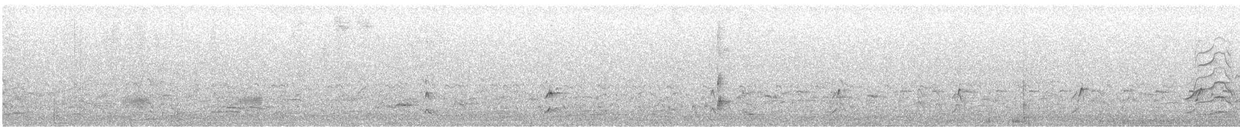 Eared Grebe - ML638655922