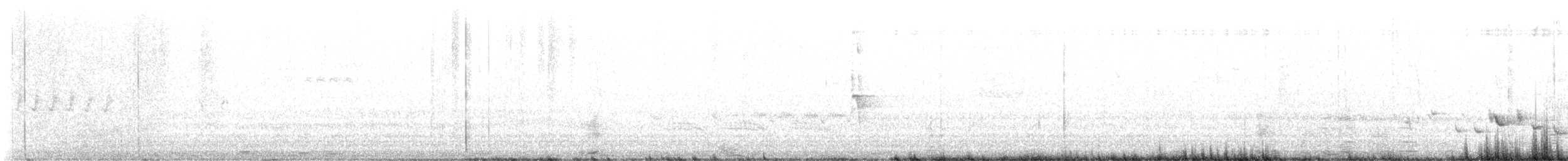 Scott's Oriole - ML638656673