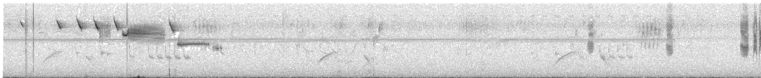 Savannah Sparrow - ML638657735