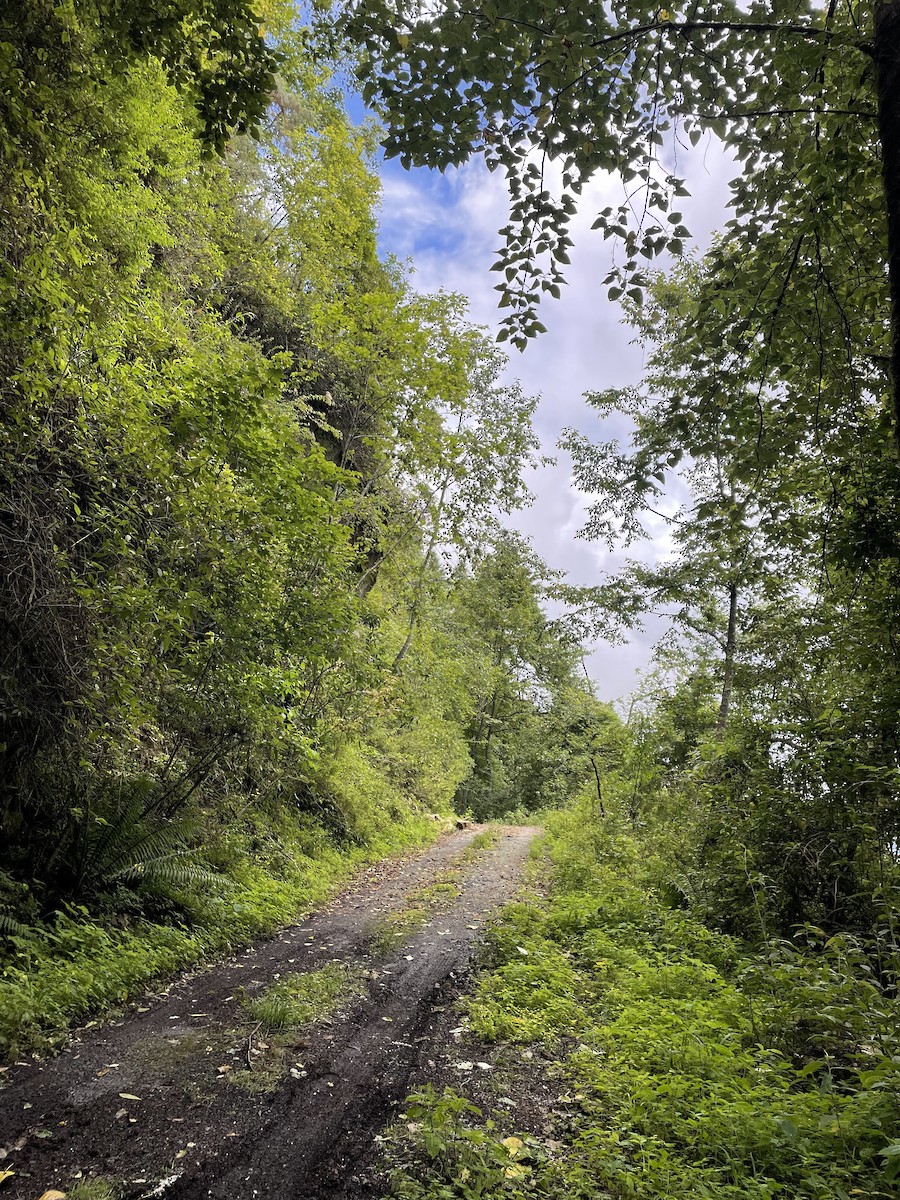 null - ML638658291