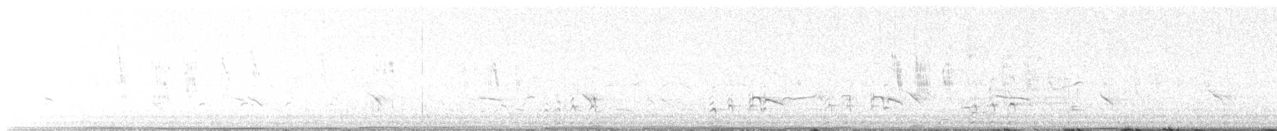 American Avocet - ML638658366