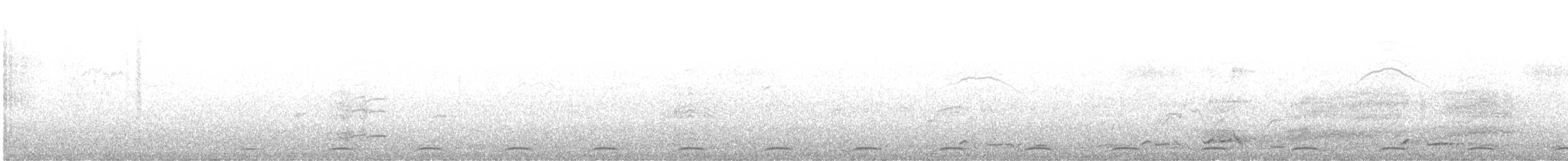 Wonga Pigeon - ML638659081