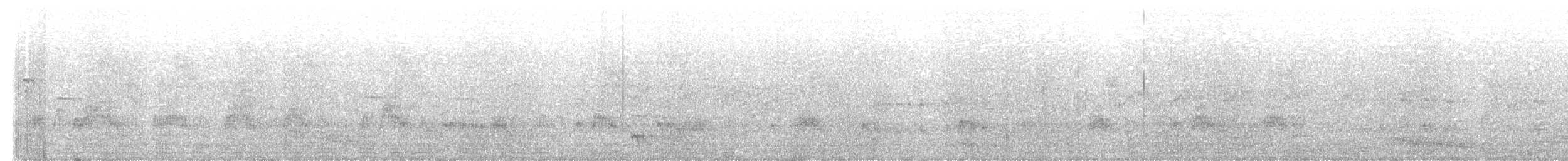 Radjah Shelduck - ML638659265