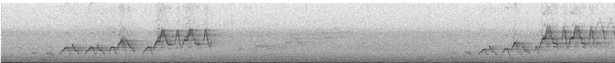 Zorzalito de Swainson (grupo ustulatus) - ML638660898