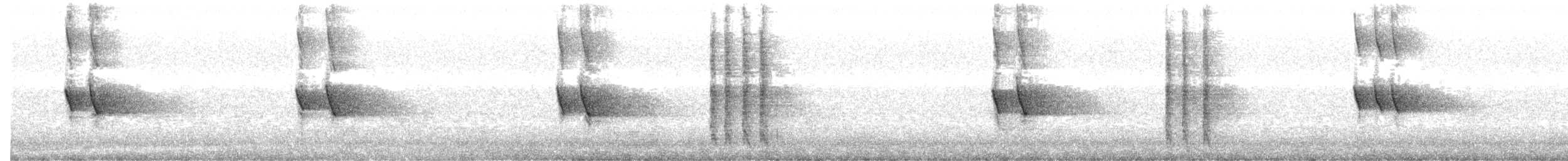 Méliphage de Nouvelle-Hollande - ML638661542