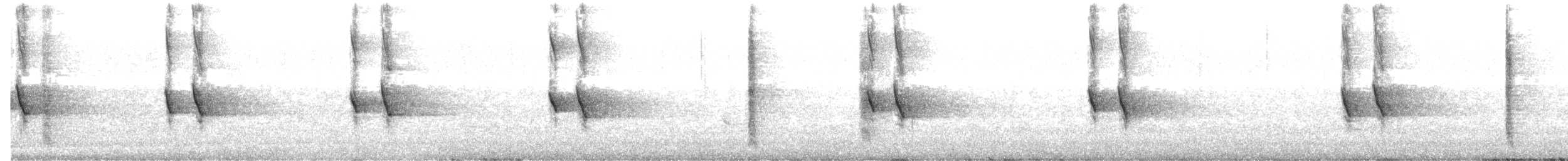 Méliphage de Nouvelle-Hollande - ML638661543