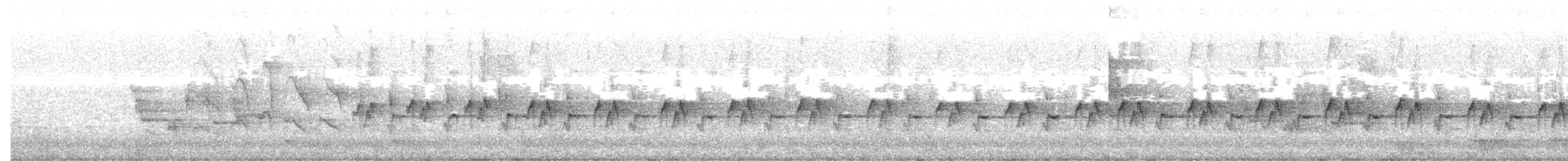 Méliphage à bec fort - ML638661547