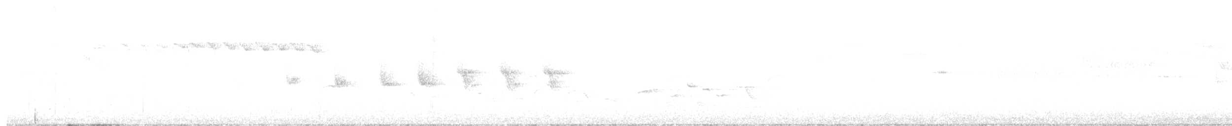イベリアチフチャフ - ML638664677