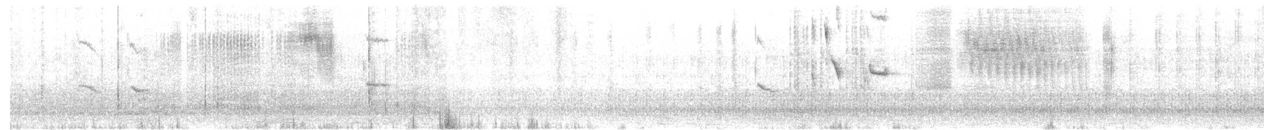 メンガタハタオリ - ML638664771