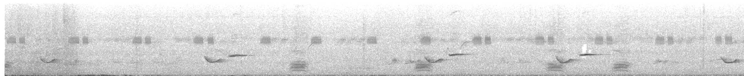 Common Iora - ML638665623