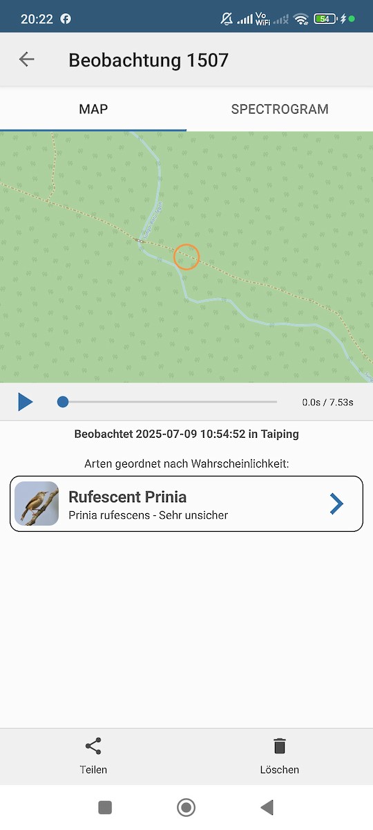 Rufescent Prinia - ML638666779