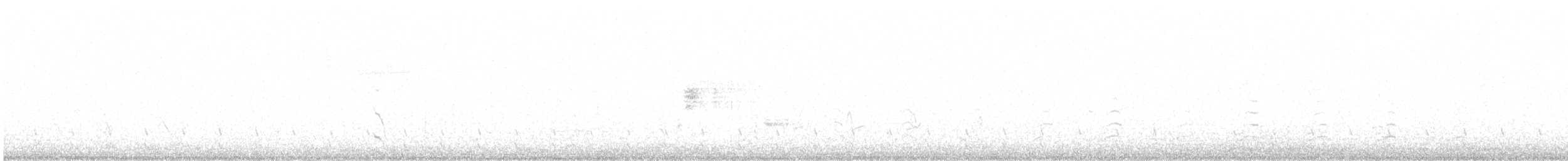 Wilsonbekassine - ML638667365