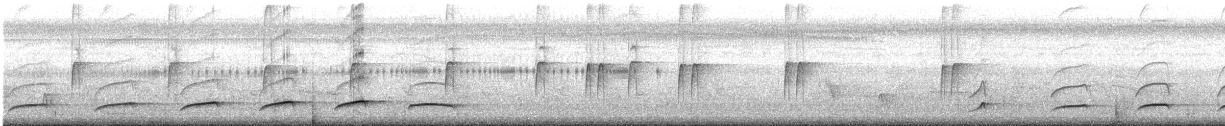 Dull-capped Attila - ML638667934