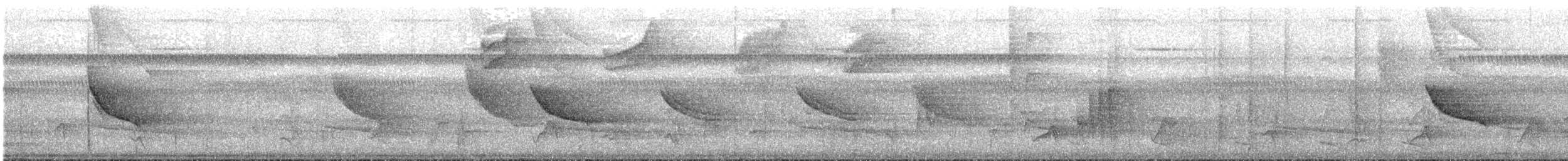 Tangara mordoré - ML638668258