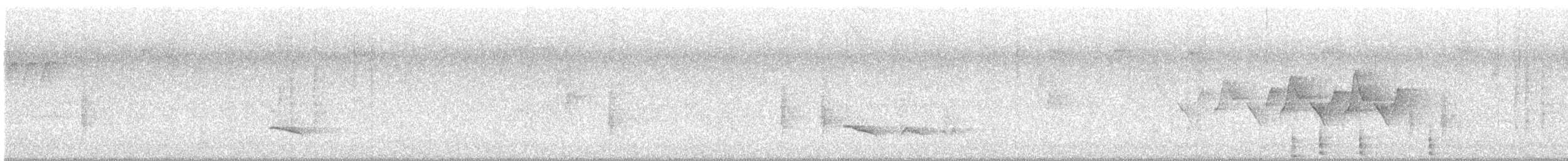 Eastern Bluebird - ML638668738