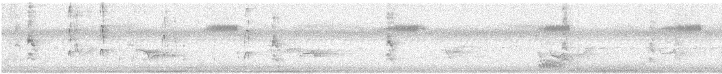 Red-cockaded Woodpecker - ML638668965