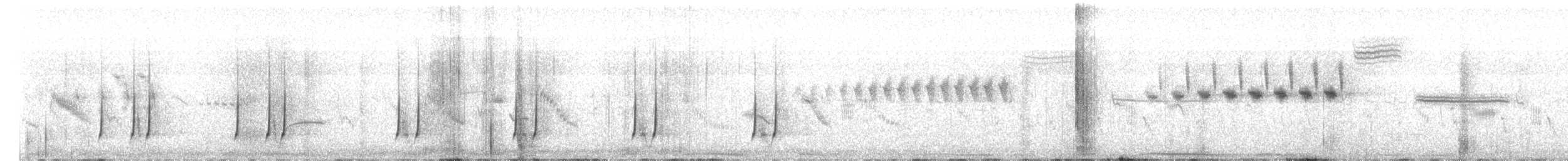 Common Quail - ML638670568