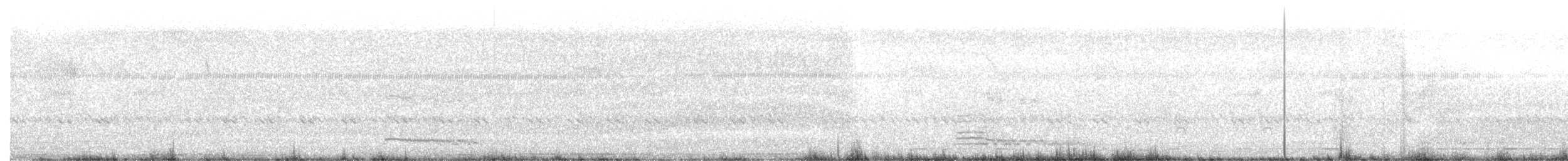 Red-naped Ibis - ML638671160