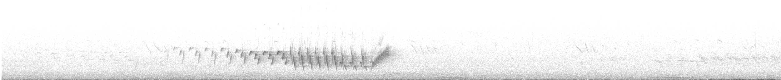 Madeira Chaffinch - ML638673324