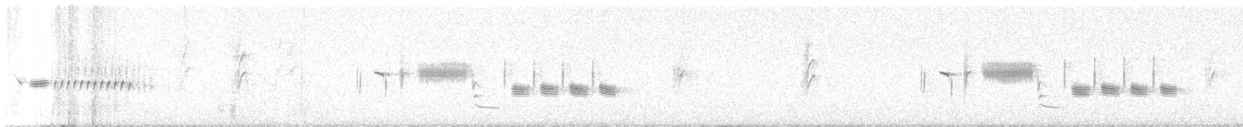 Bewick's Wren - ML638673609