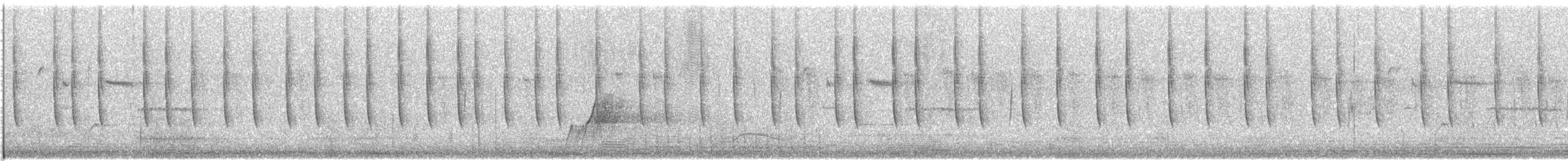 Breitschwanzelfe - ML638673692