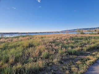 Chatfield SP--Catfish Flats, Jefferson, Colorado, United States - eBird ...