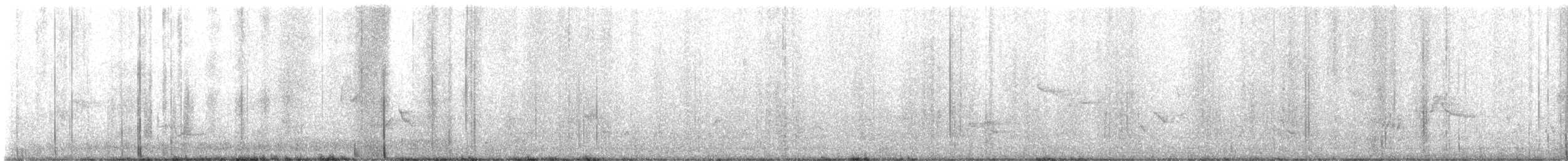 Carolina Wren - ML638674781