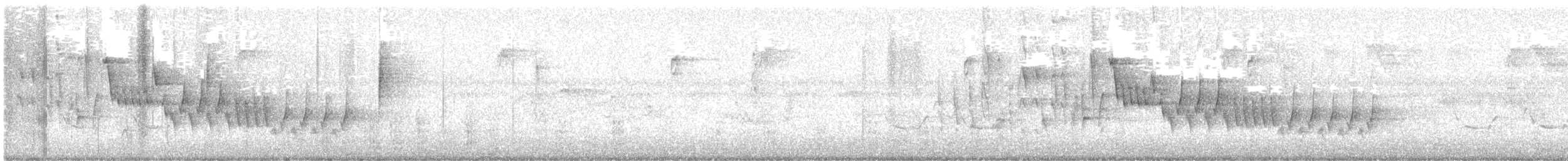 Northern House Wren - ML638675874