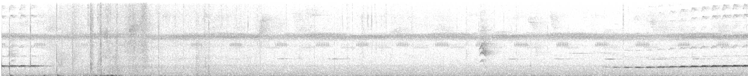 Thicket Antpitta - ML638678228