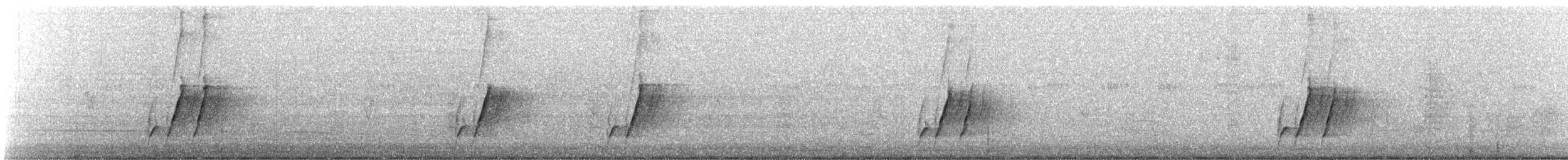 Krummschnabel-Spottdrossel [palmeri-Gruppe] - ML638679322