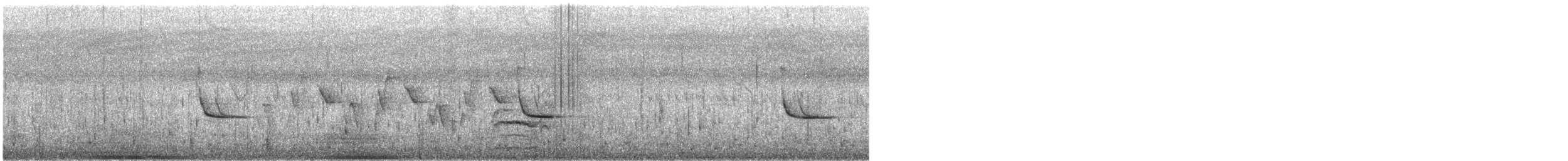 Schwarzkopf-Zwergtaucher - ML638679403