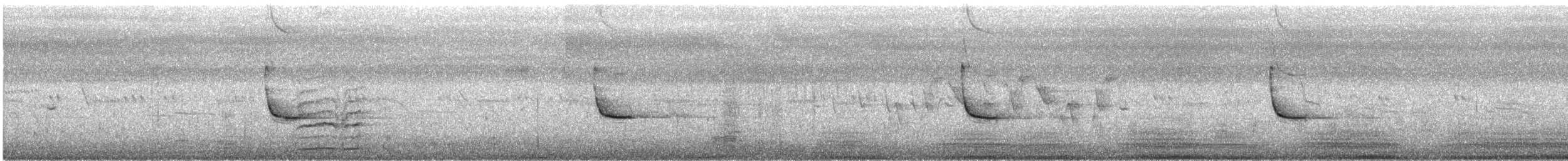 Schwarzkopf-Zwergtaucher - ML638679421
