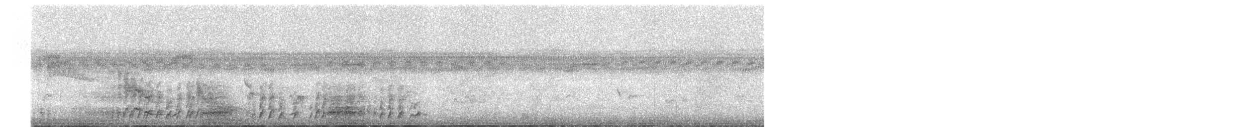 Black Crake - ML638679486