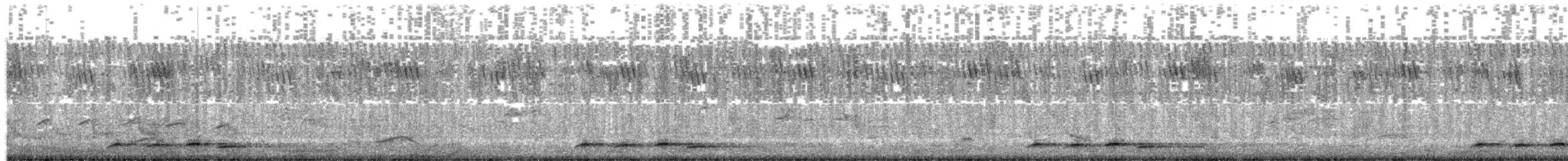 Indian Cuckoo - ML638680512