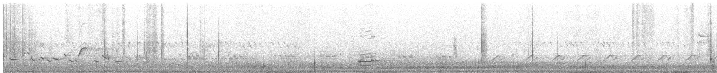 Scott's Oriole - ML638680801