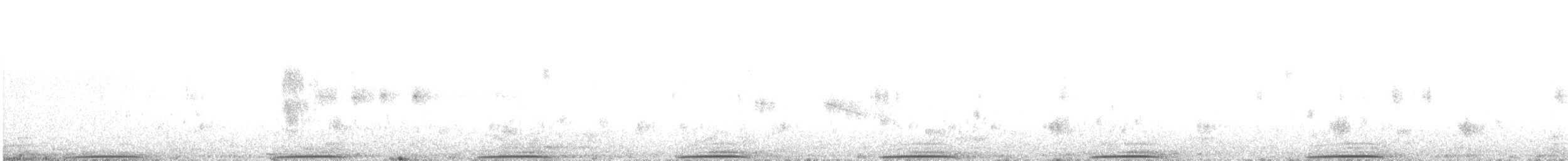 Band-tailed Pigeon - ML638681637