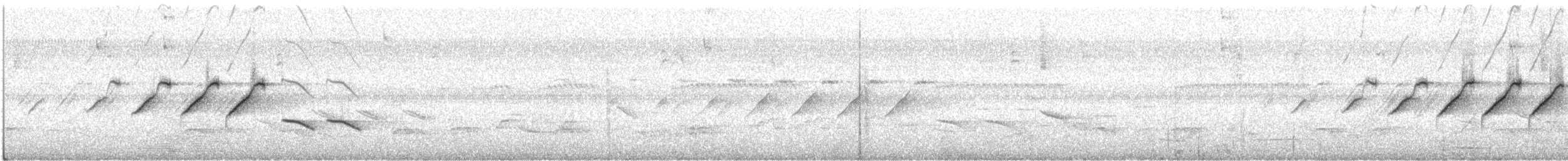 Morelet's Seedeater - ML638681755